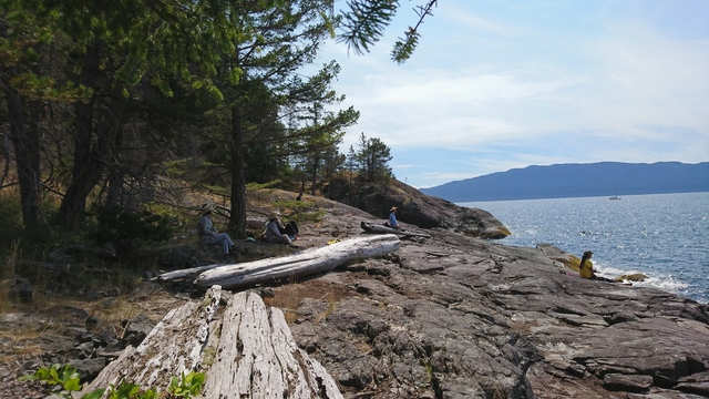 Sitting at the beach