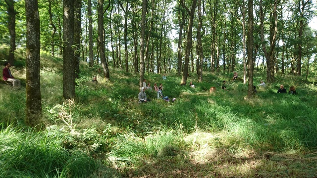 Sitting in the forest