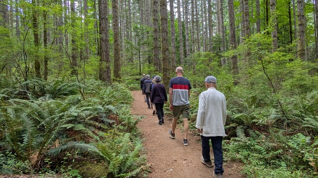 Outdoor walking meditation in the forest