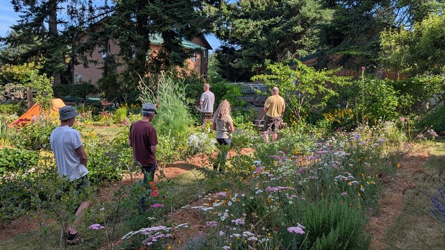 Outdoor walking meditation in the garden